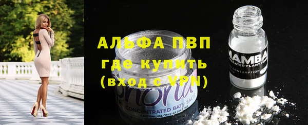 эйфоретик Арсеньев