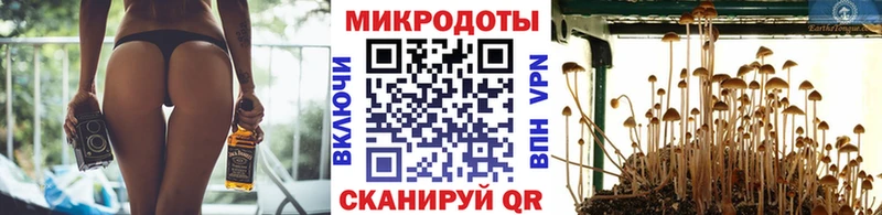 Купить закладки  Рыбное  Псилоцибиновые грибы Magic Shrooms 